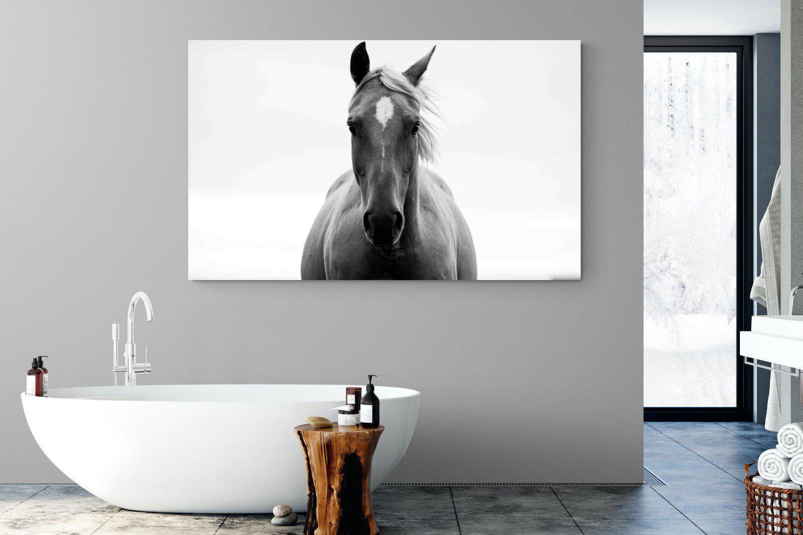 Stallion-Wall_Art-180 x 110cm-Mounted Canvas-No Frame-Pixalot