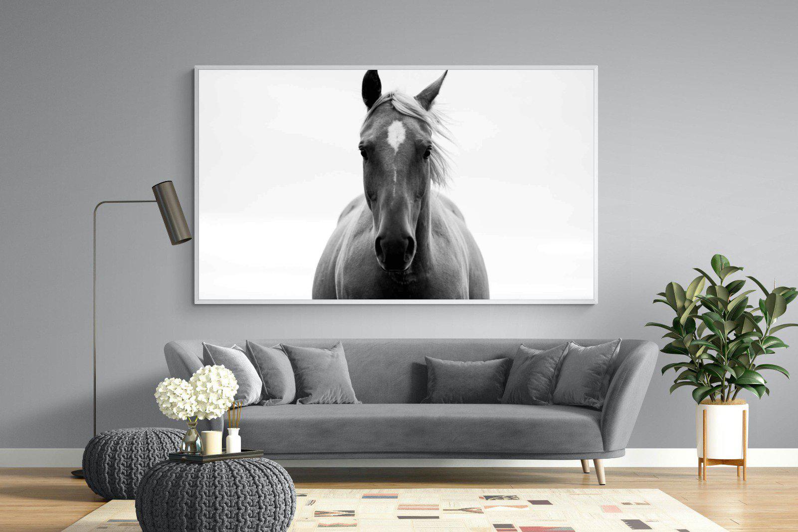 Stallion-Wall_Art-220 x 130cm-Mounted Canvas-White-Pixalot