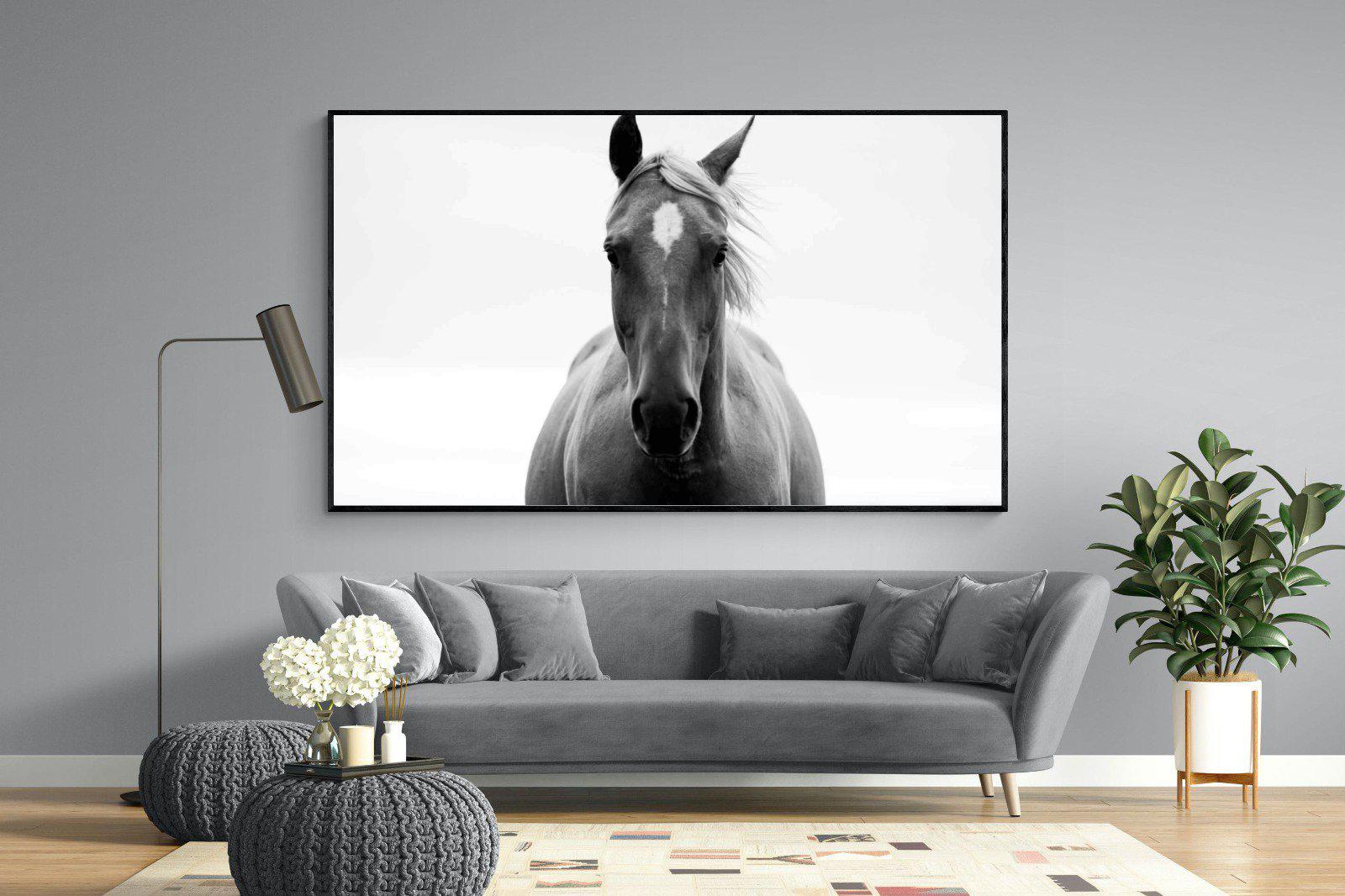 Stallion-Wall_Art-220 x 130cm-Mounted Canvas-Black-Pixalot