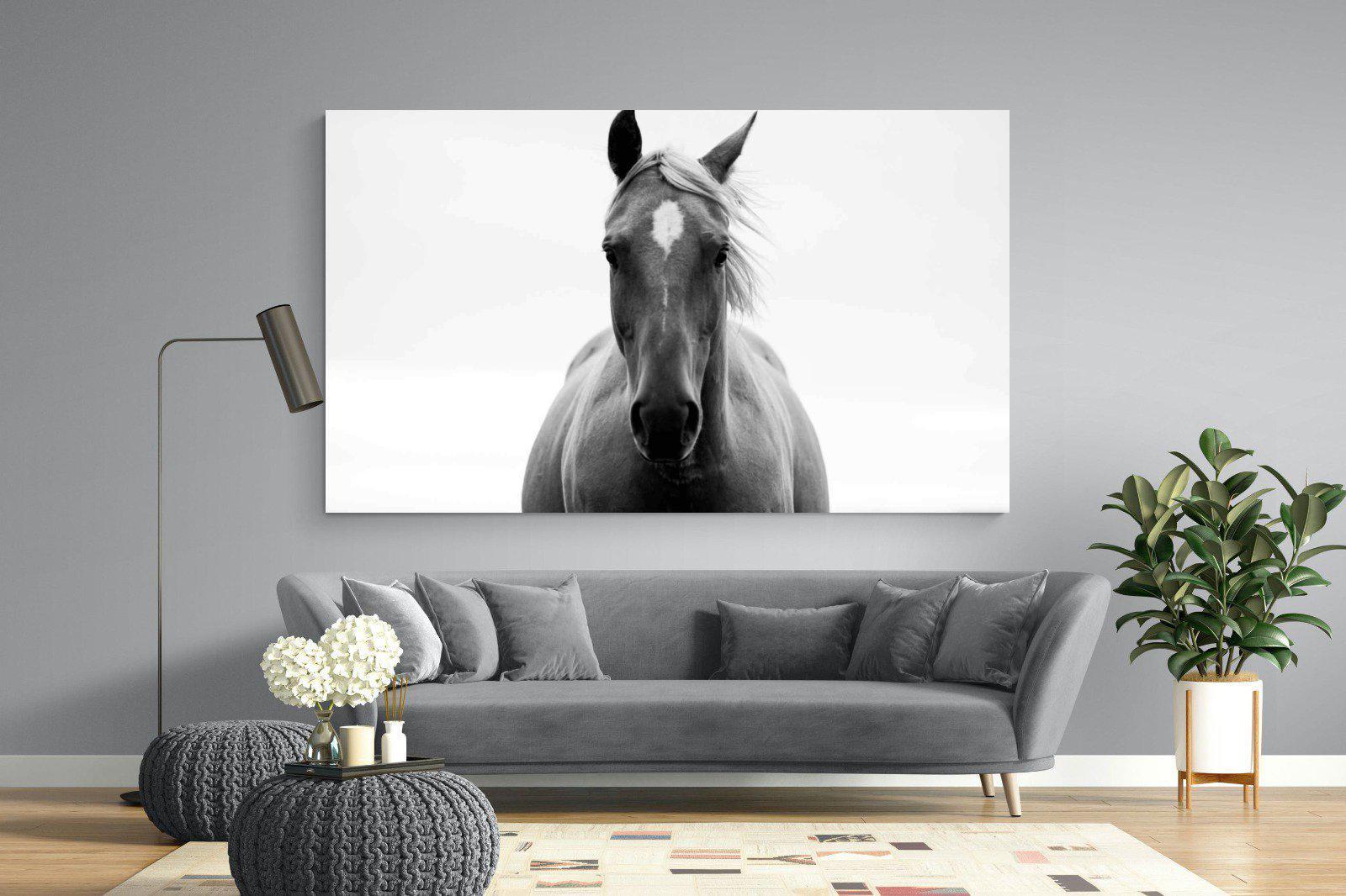Stallion-Wall_Art-220 x 130cm-Mounted Canvas-No Frame-Pixalot