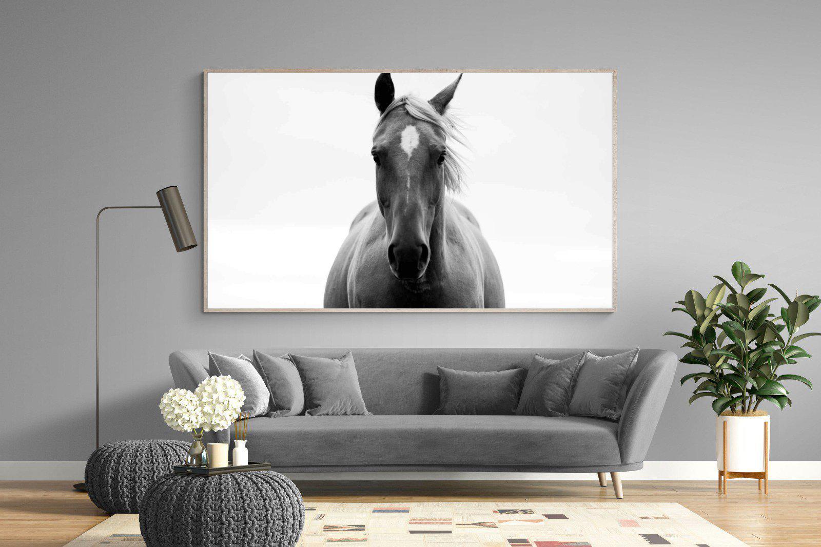 Stallion-Wall_Art-220 x 130cm-Mounted Canvas-Wood-Pixalot