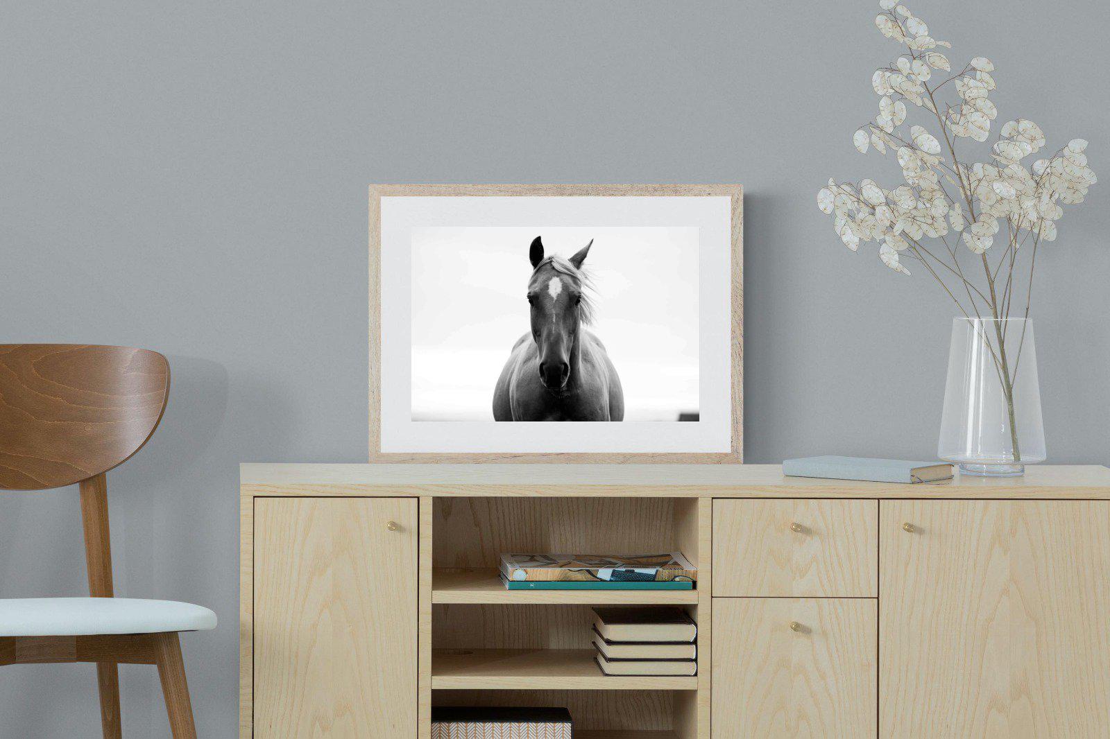 Stallion-Wall_Art-60 x 45cm-Framed Print-Wood-Pixalot