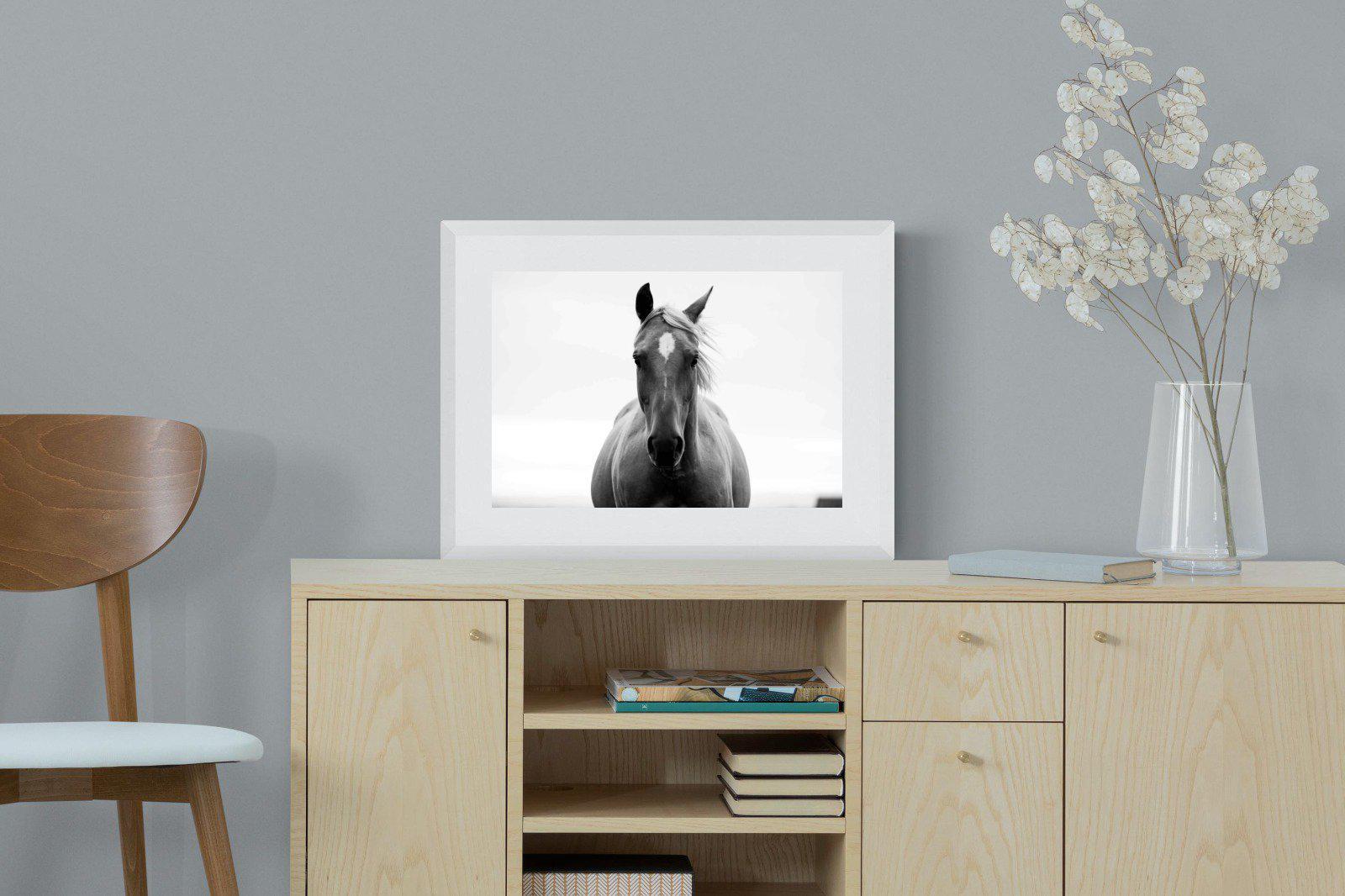 Stallion-Wall_Art-60 x 45cm-Framed Print-White-Pixalot