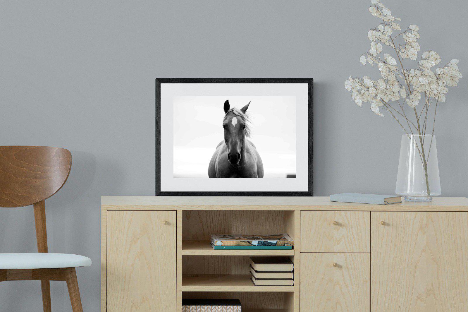Stallion-Wall_Art-60 x 45cm-Framed Print-Black-Pixalot