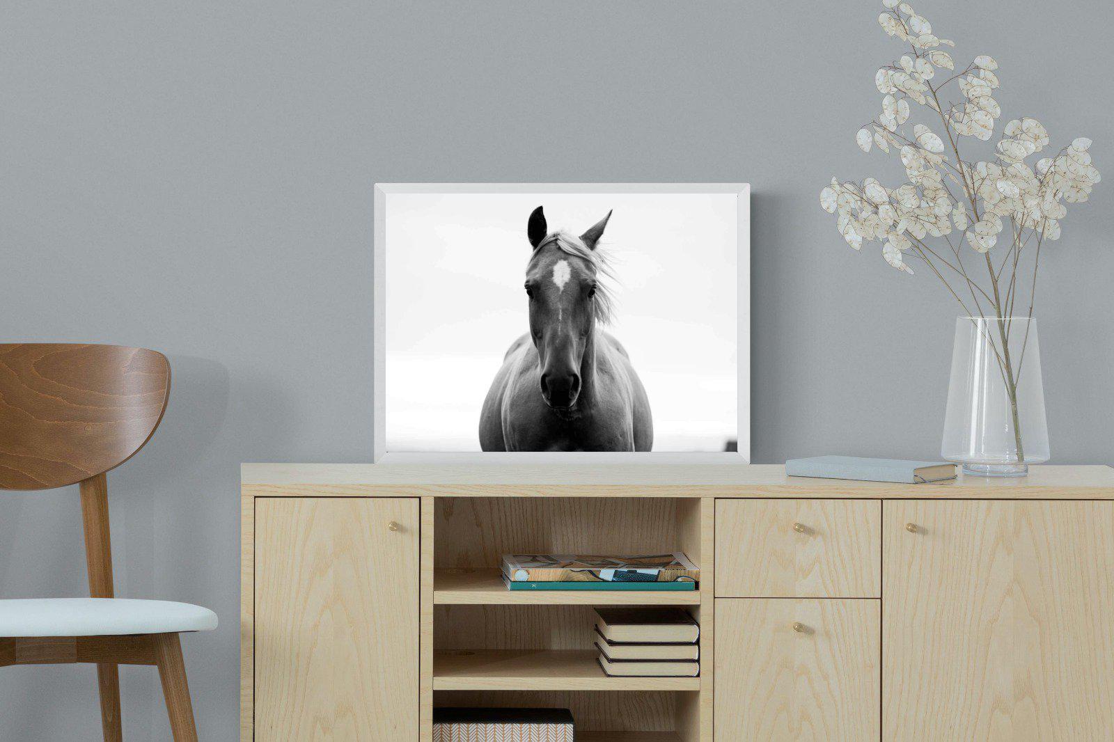 Stallion-Wall_Art-60 x 45cm-Mounted Canvas-White-Pixalot