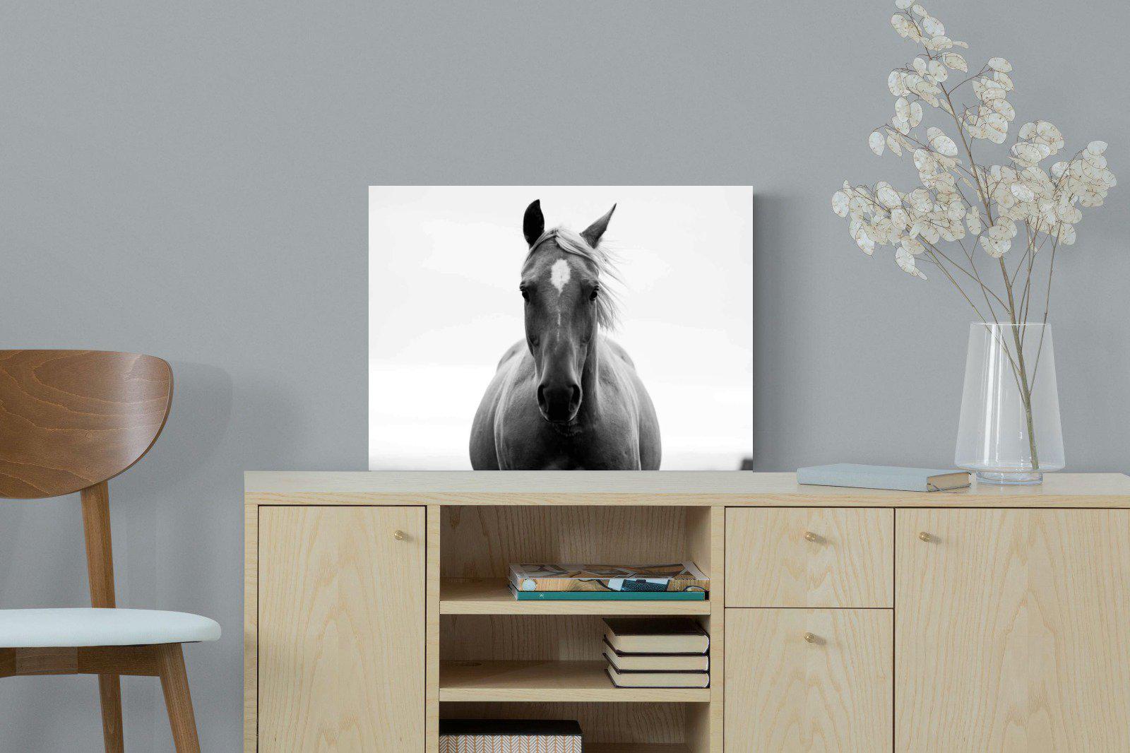 Stallion-Wall_Art-60 x 45cm-Mounted Canvas-No Frame-Pixalot