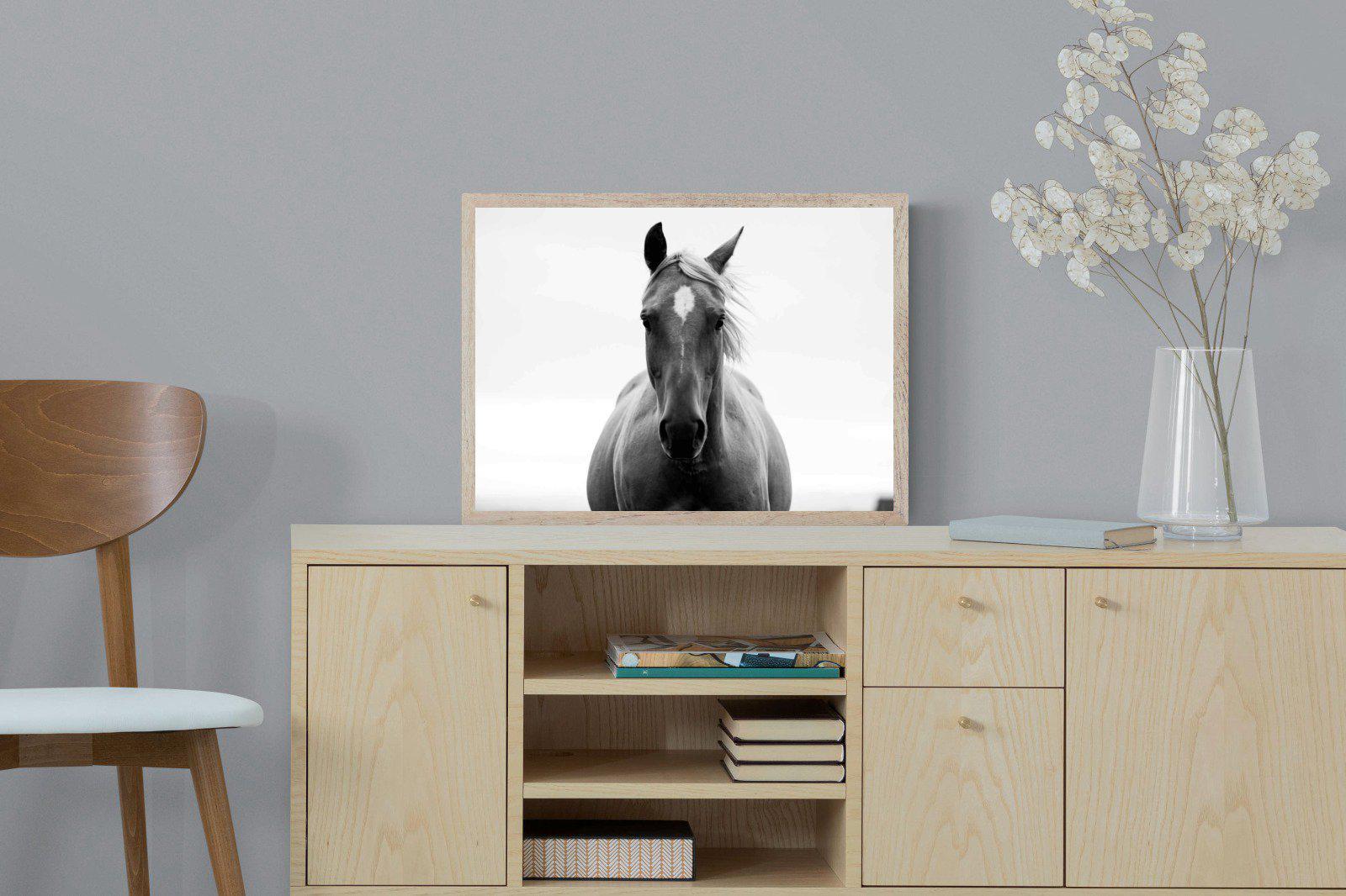 Stallion-Wall_Art-60 x 45cm-Mounted Canvas-Wood-Pixalot