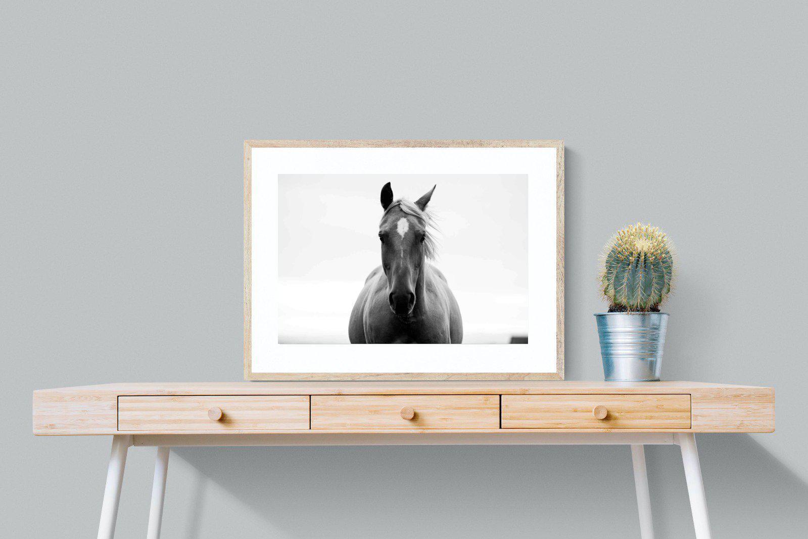 Stallion-Wall_Art-80 x 60cm-Framed Print-Wood-Pixalot