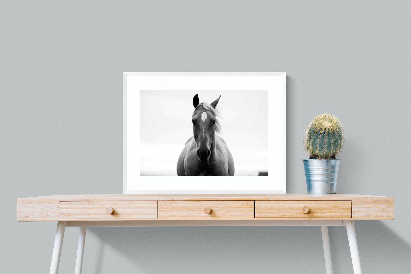 Stallion-Wall_Art-80 x 60cm-Framed Print-White-Pixalot