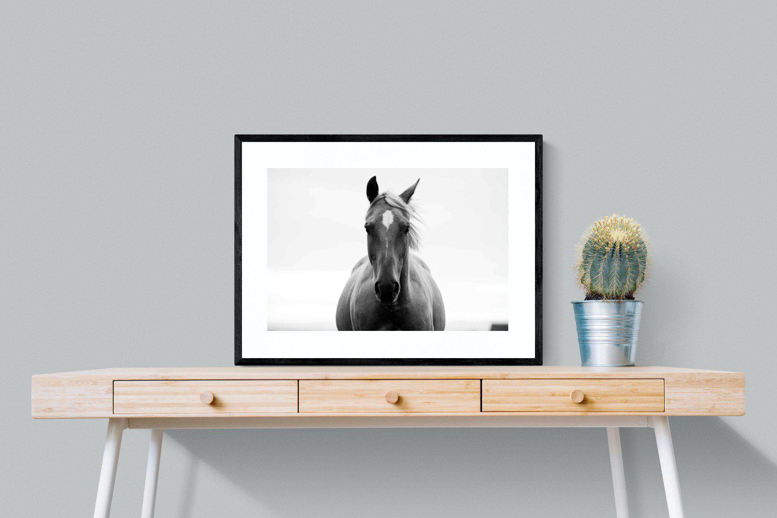 Stallion-Wall_Art-80 x 60cm-Framed Print-Black-Pixalot