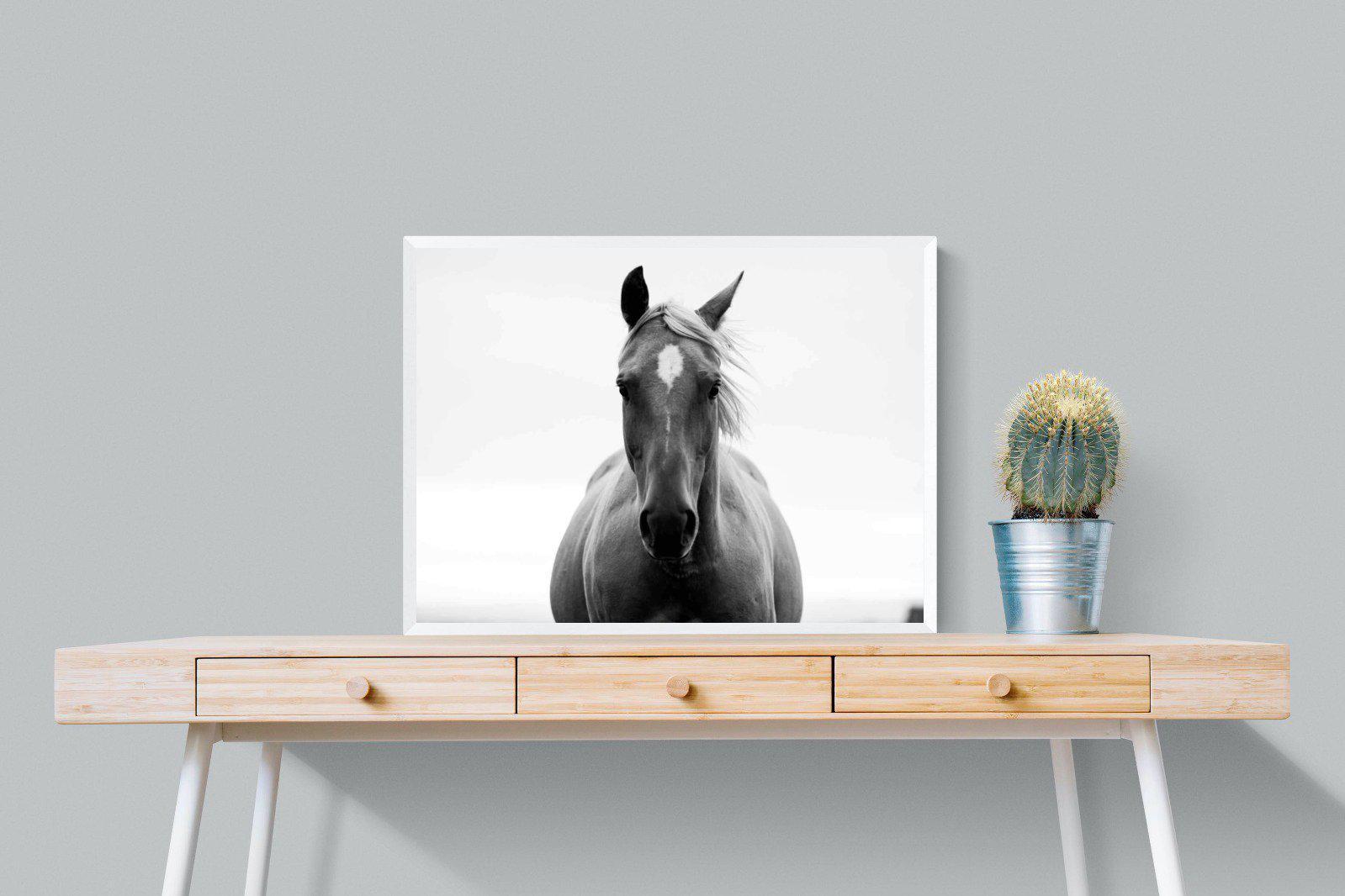 Stallion-Wall_Art-80 x 60cm-Mounted Canvas-White-Pixalot