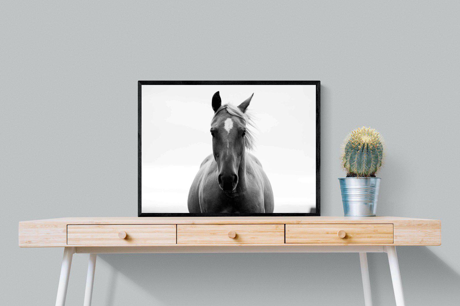 Stallion-Wall_Art-80 x 60cm-Mounted Canvas-Black-Pixalot