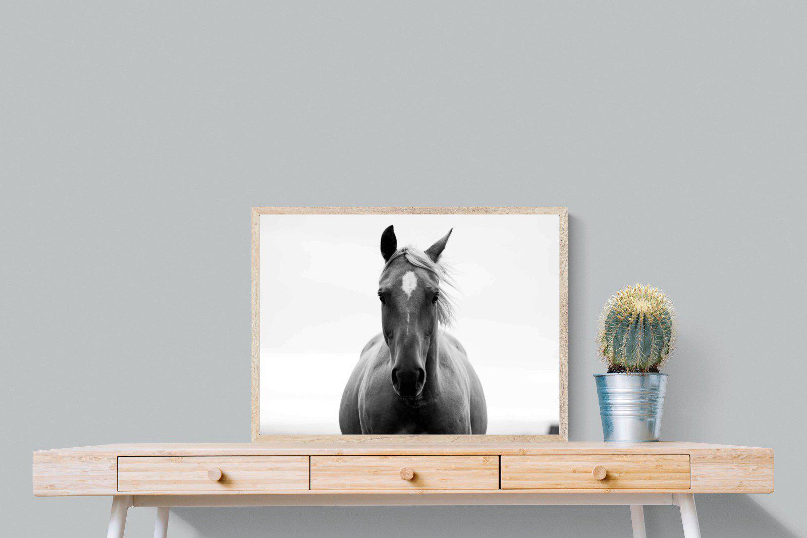 Stallion-Wall_Art-80 x 60cm-Mounted Canvas-Wood-Pixalot