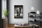 Stride-Wall_Art-100 x 150cm-Mounted Canvas-Black-Pixalot