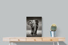Stride-Wall_Art-45 x 60cm-Mounted Canvas-No Frame-Pixalot