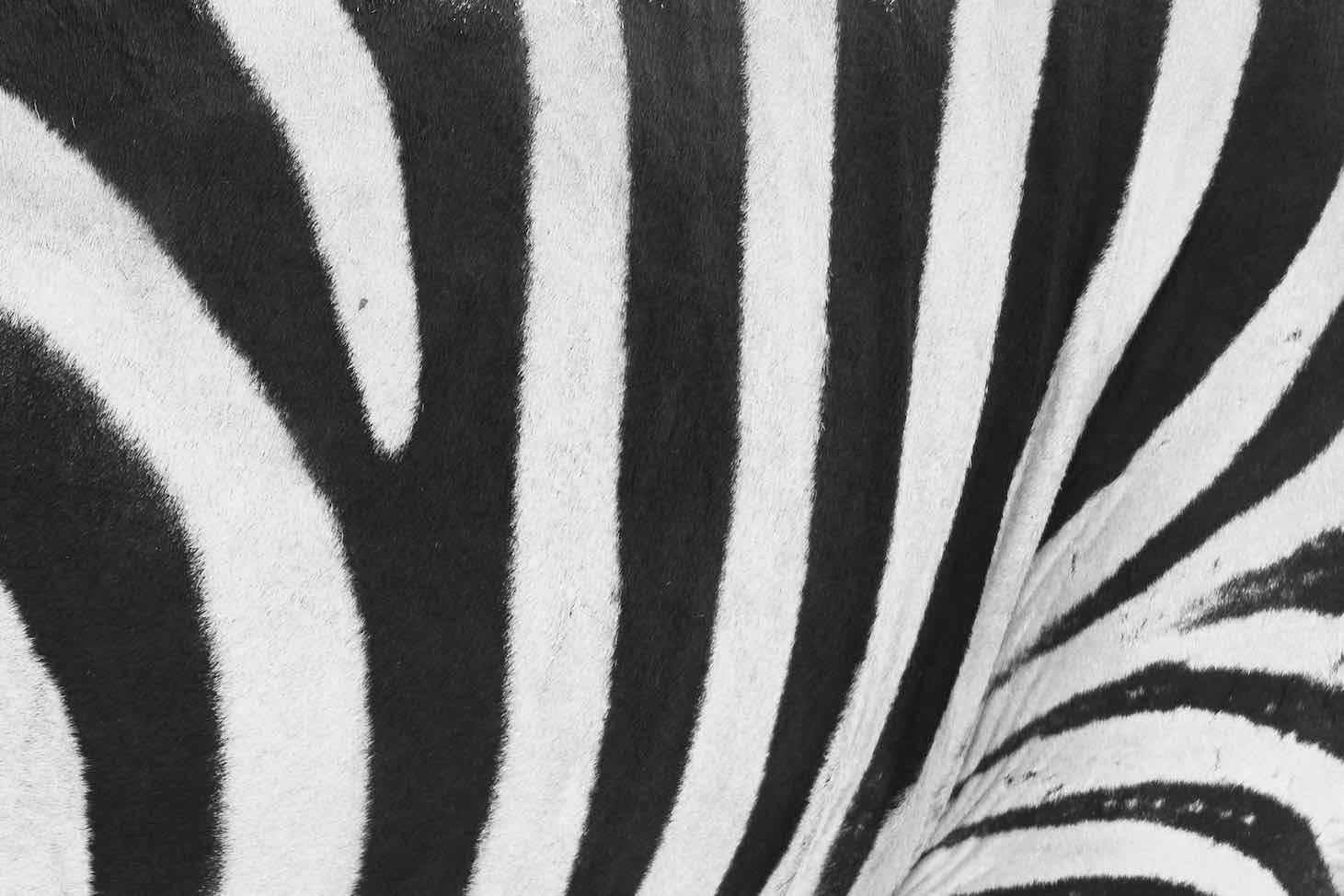 Stripes-Wall_Art-Pixalot