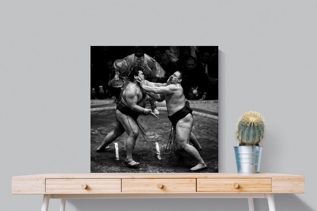 Sumo-Wall_Art-80 x 80cm-Mounted Canvas-No Frame-Pixalot