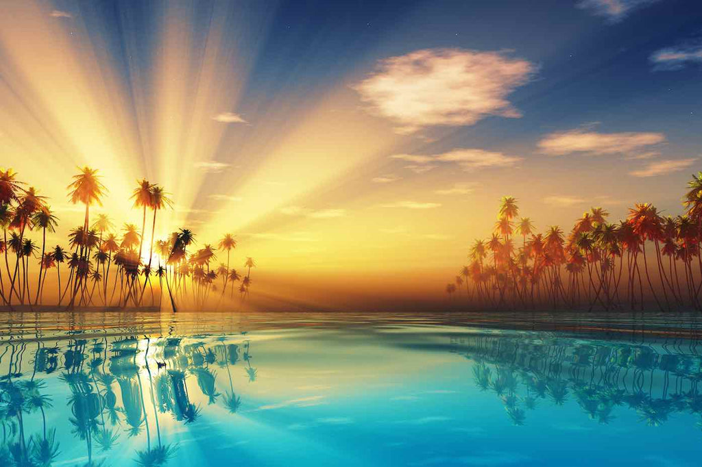 Sun Rays-Wall_Art-Pixalot