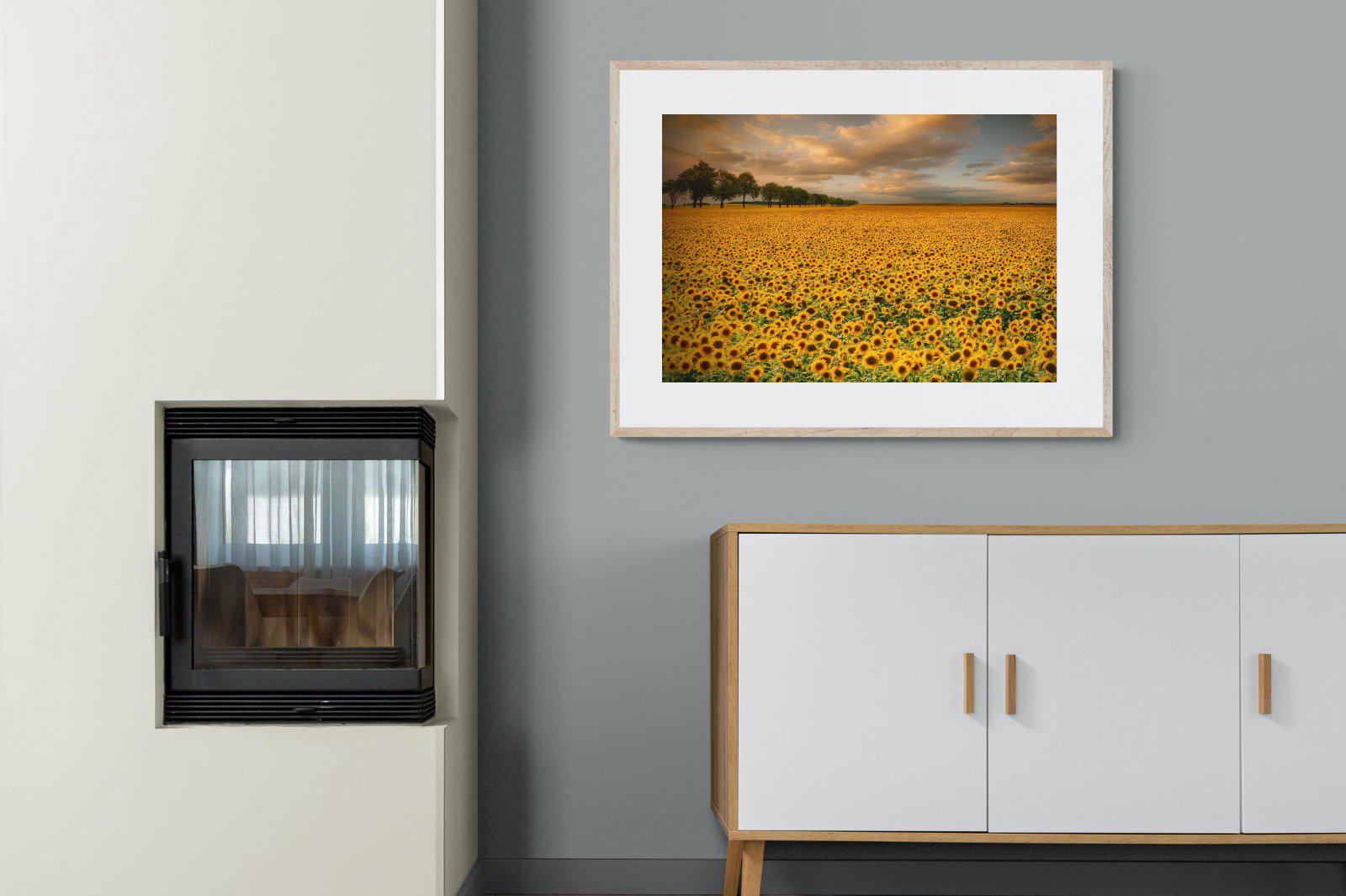 Sunflower Field-Wall_Art-100 x 75cm-Framed Print-Wood-Pixalot