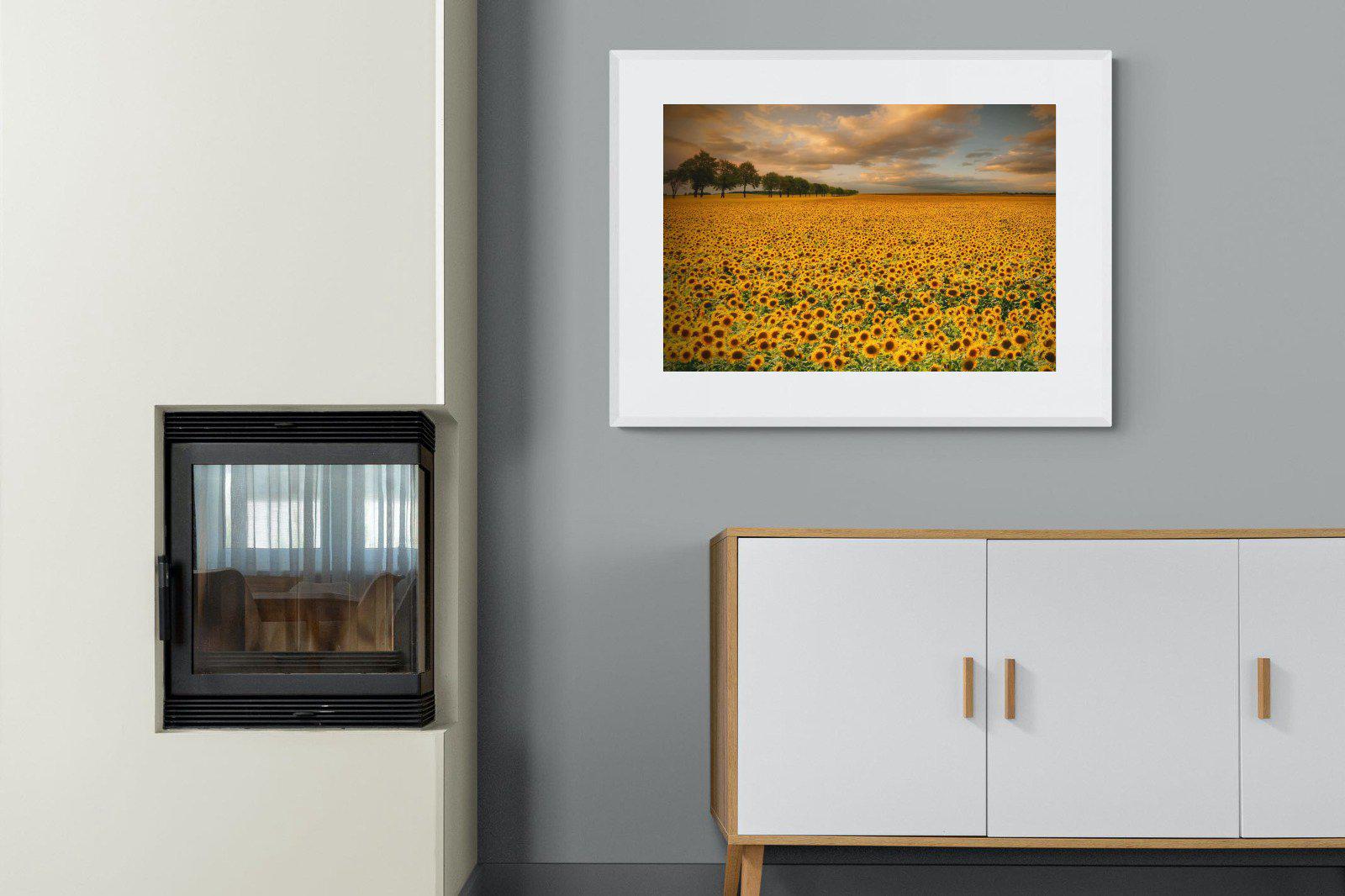 Sunflower Field-Wall_Art-100 x 75cm-Framed Print-White-Pixalot