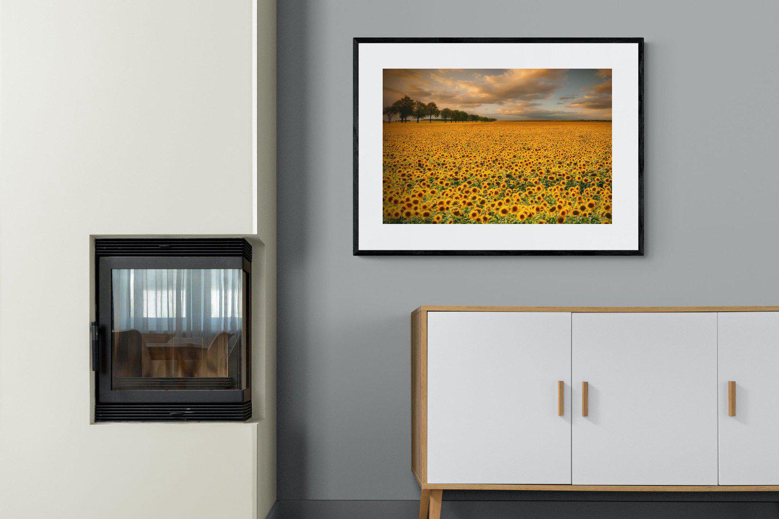 Sunflower Field-Wall_Art-100 x 75cm-Framed Print-Black-Pixalot