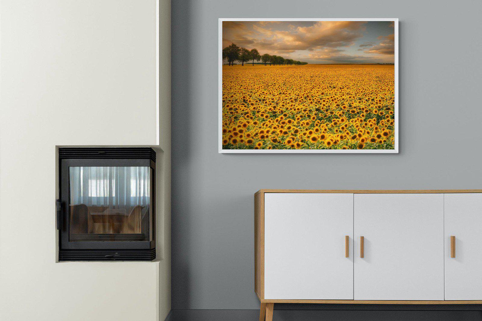Sunflower Field-Wall_Art-100 x 75cm-Mounted Canvas-White-Pixalot
