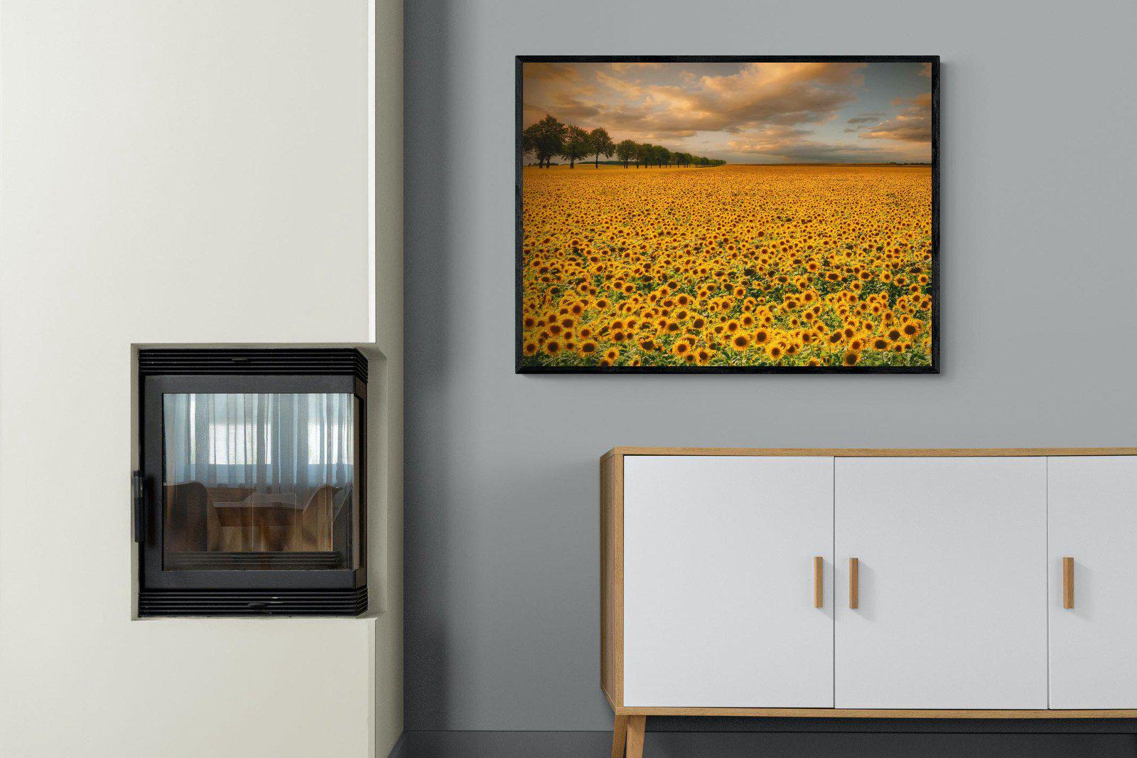 Sunflower Field-Wall_Art-100 x 75cm-Mounted Canvas-Black-Pixalot