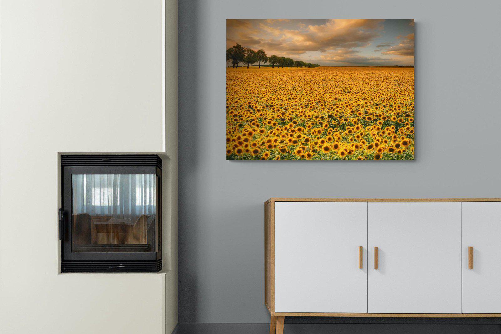 Sunflower Field-Wall_Art-100 x 75cm-Mounted Canvas-No Frame-Pixalot