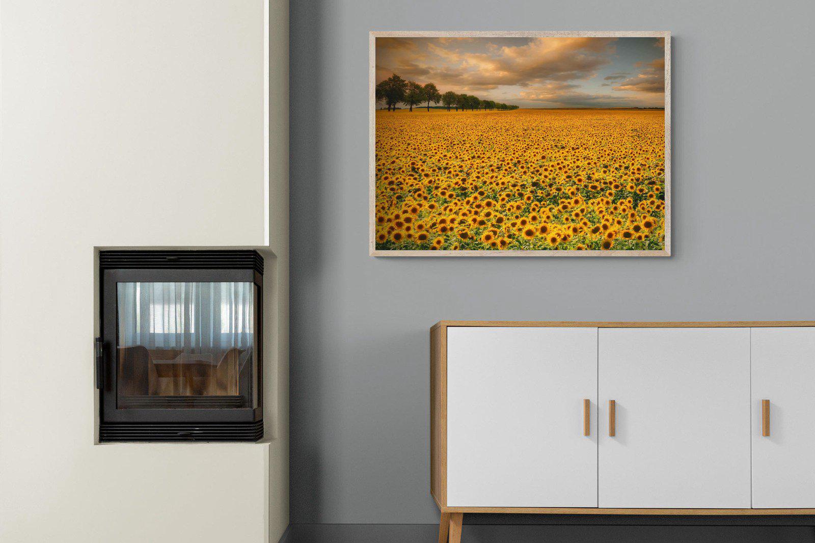 Sunflower Field-Wall_Art-100 x 75cm-Mounted Canvas-Wood-Pixalot