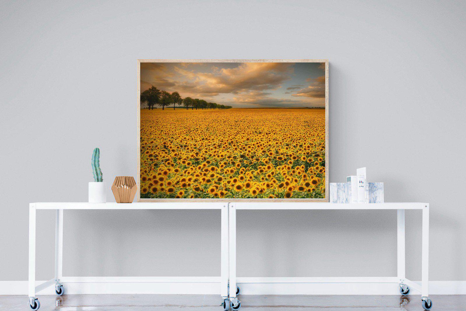 Sunflower Field-Wall_Art-120 x 90cm-Mounted Canvas-Wood-Pixalot