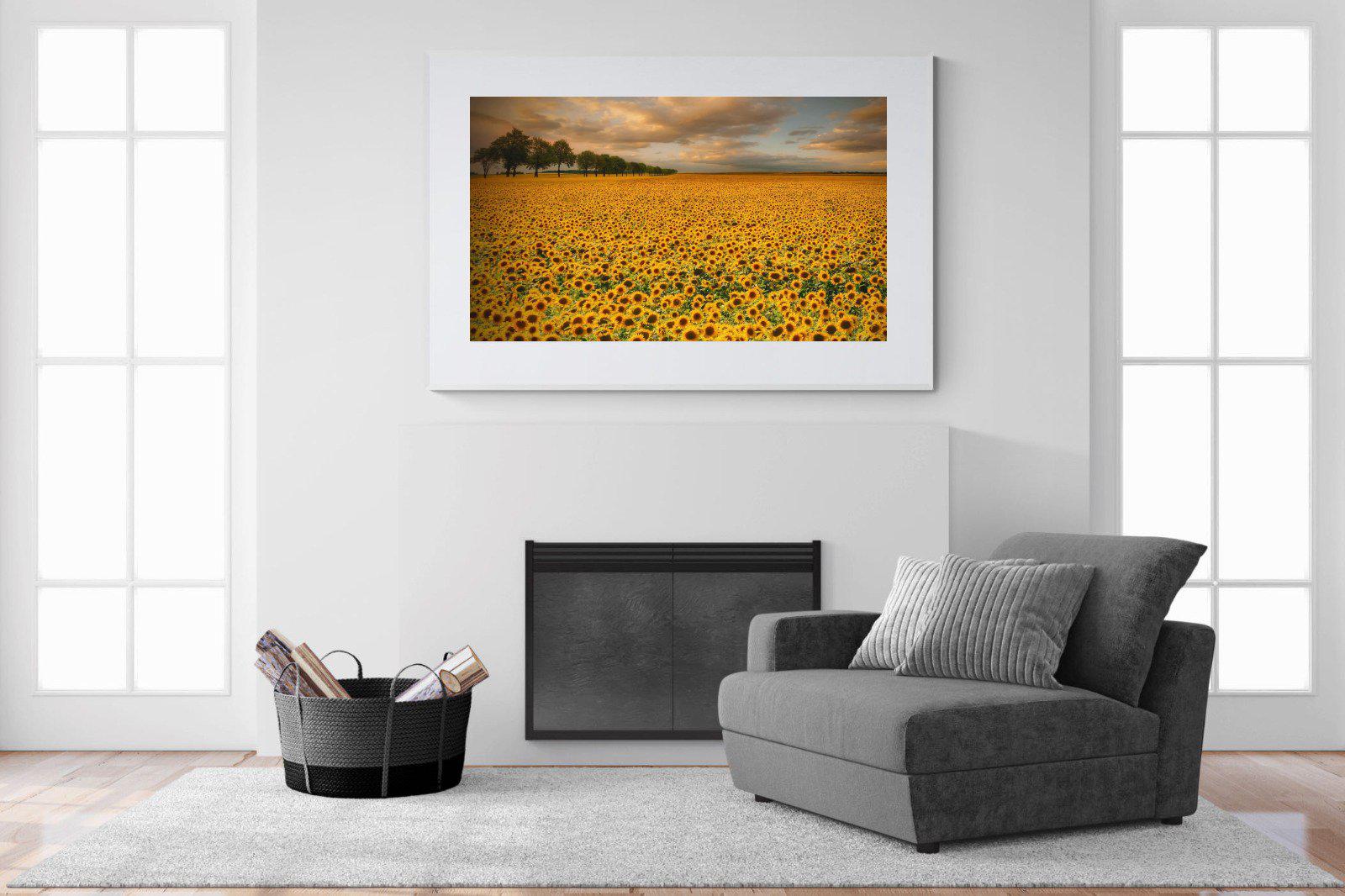 Sunflower Field-Wall_Art-150 x 100cm-Framed Print-White-Pixalot