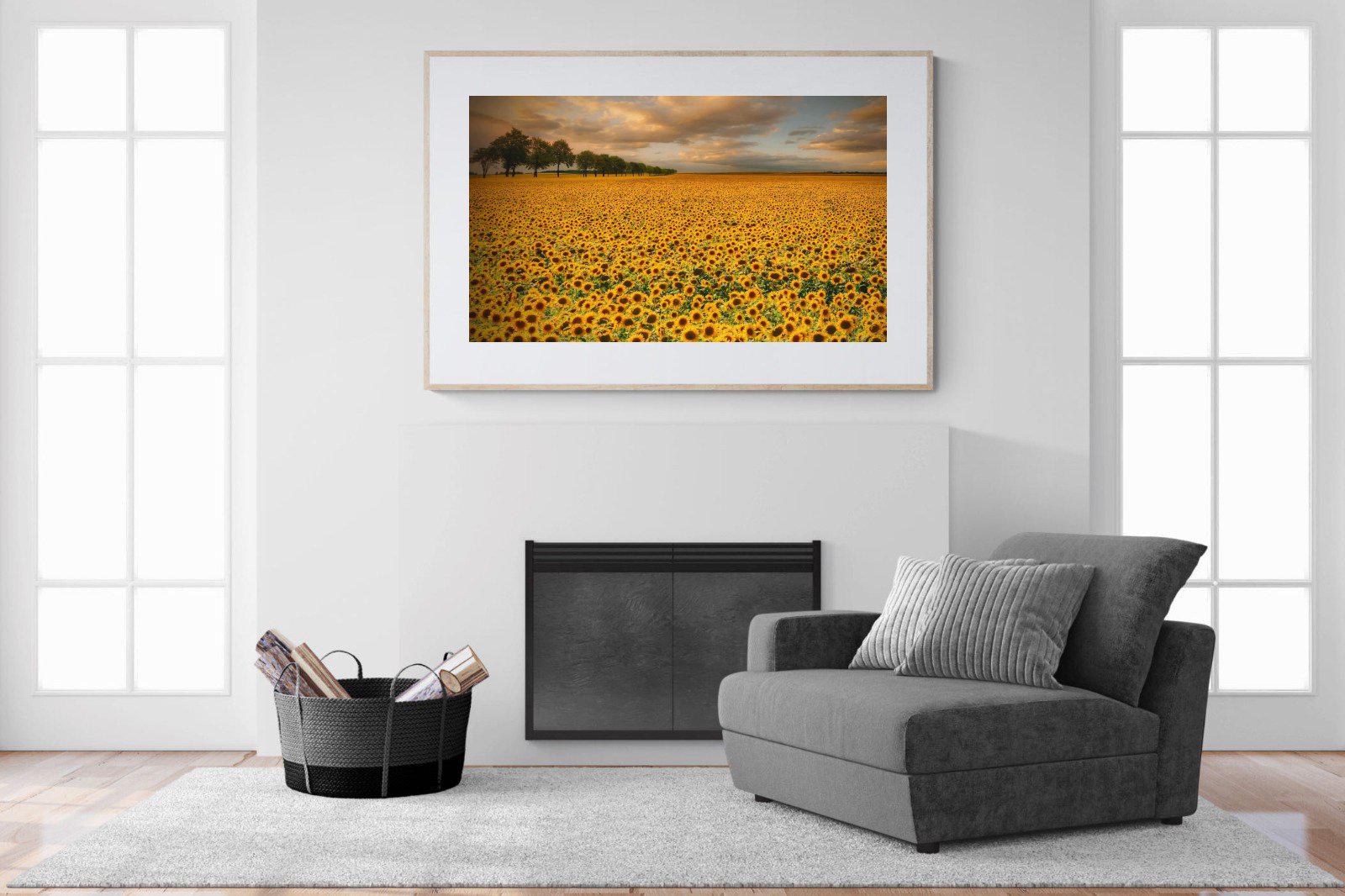 Sunflower Field-Wall_Art-150 x 100cm-Framed Print-Wood-Pixalot