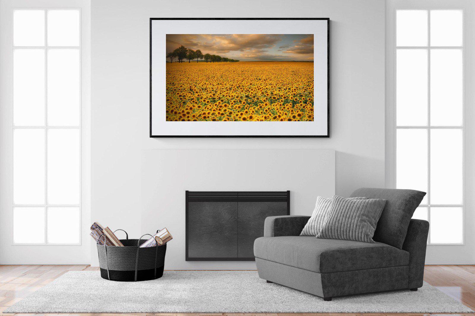 Sunflower Field-Wall_Art-150 x 100cm-Framed Print-Black-Pixalot