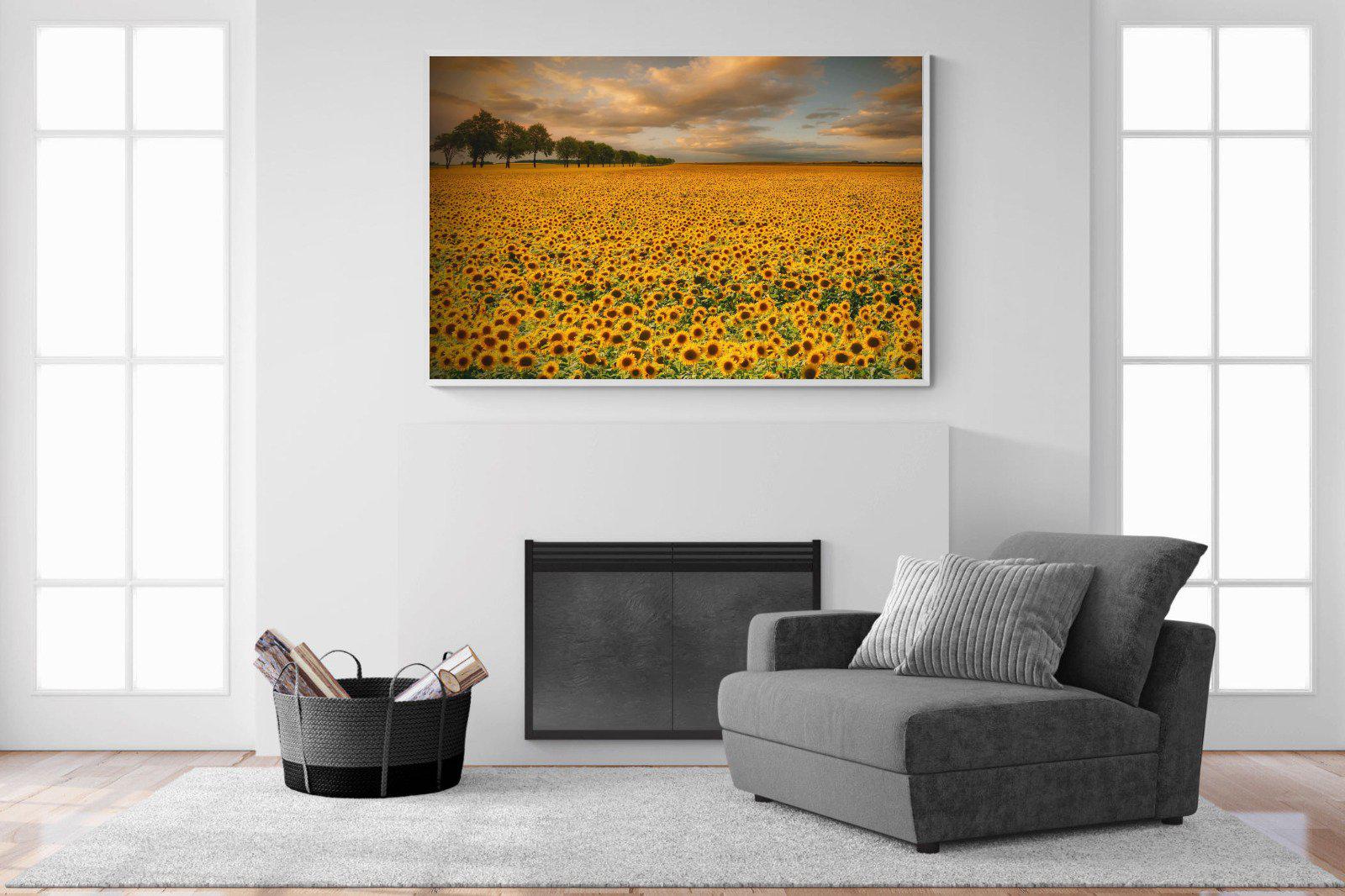 Sunflower Field-Wall_Art-150 x 100cm-Mounted Canvas-White-Pixalot