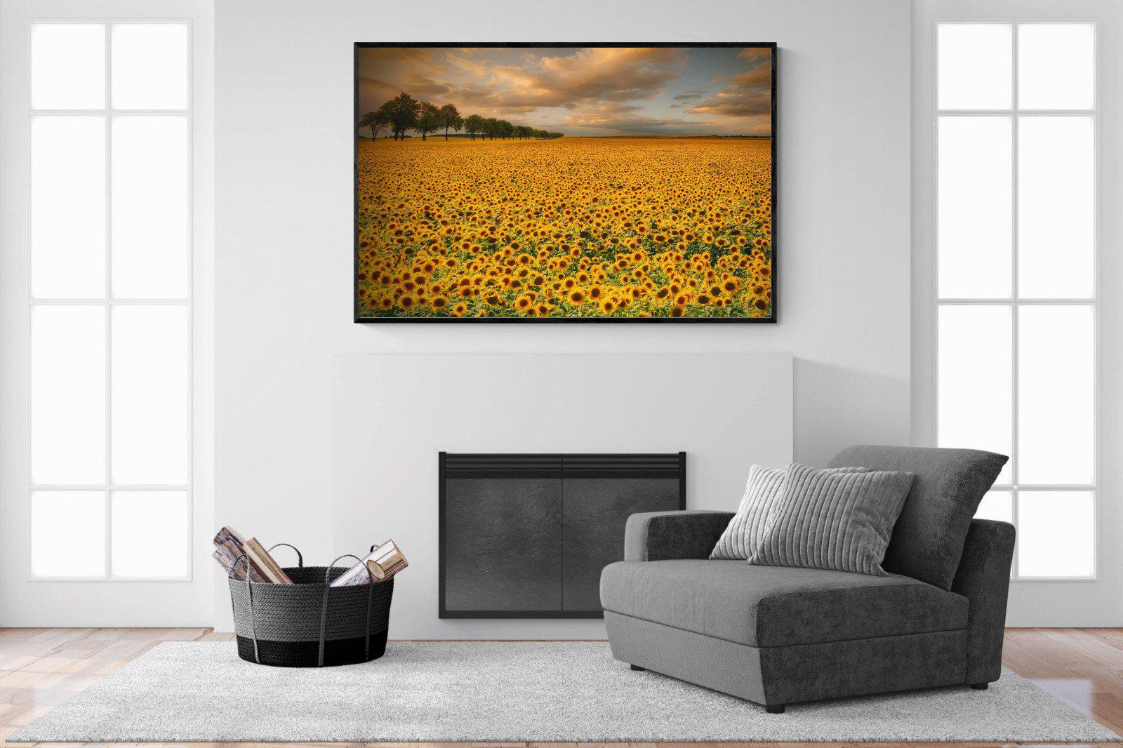 Sunflower Field-Wall_Art-150 x 100cm-Mounted Canvas-Black-Pixalot