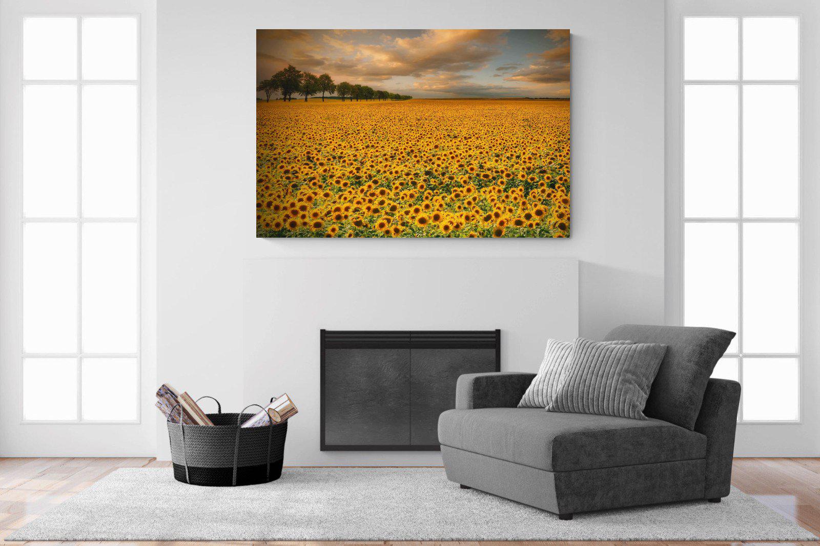 Sunflower Field-Wall_Art-150 x 100cm-Mounted Canvas-No Frame-Pixalot