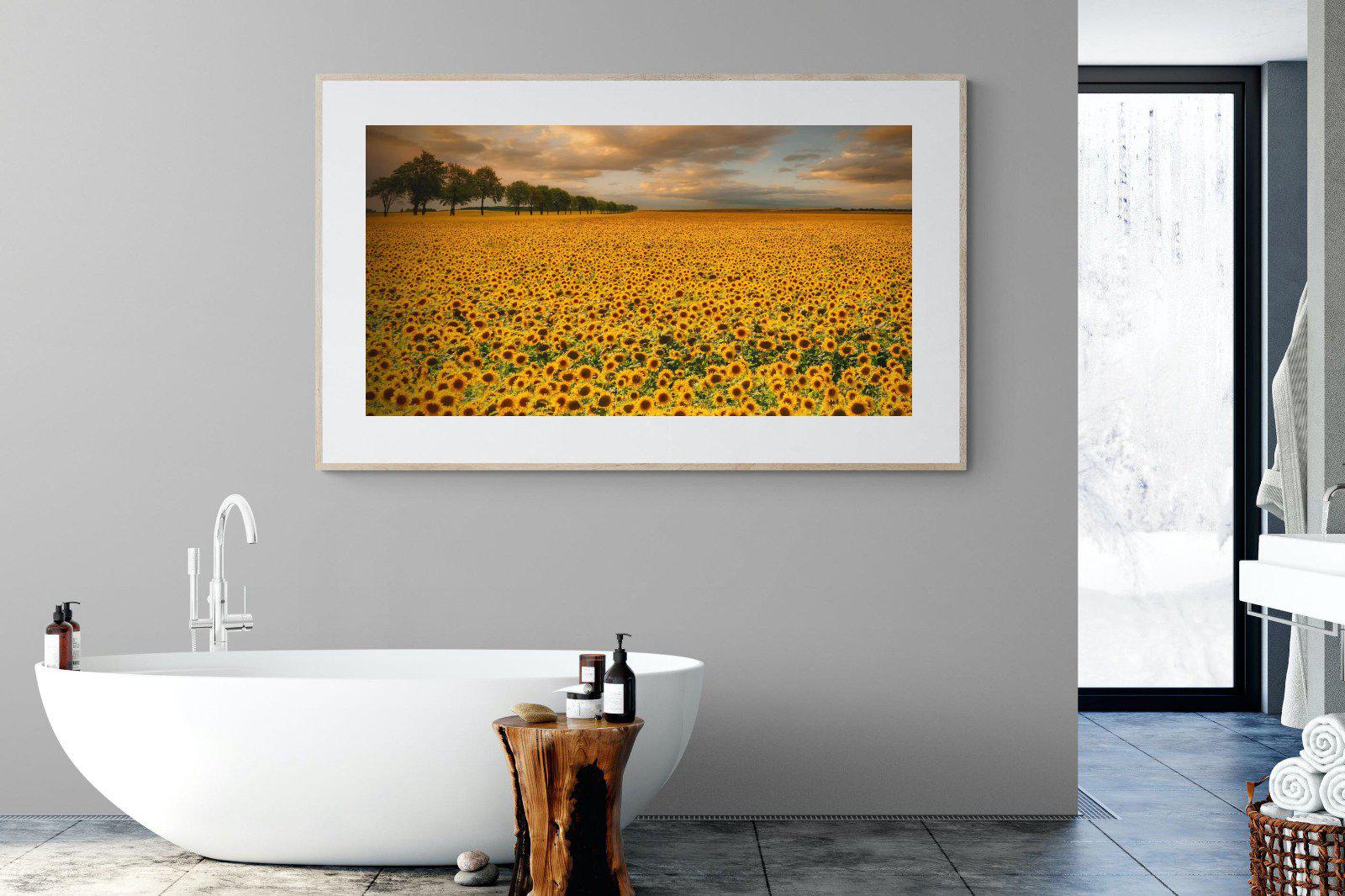 Sunflower Field-Wall_Art-180 x 110cm-Framed Print-Wood-Pixalot