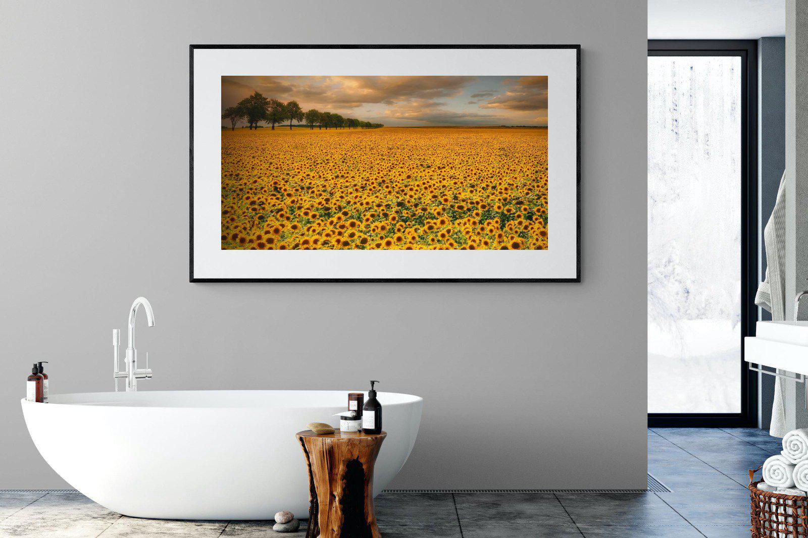Sunflower Field-Wall_Art-180 x 110cm-Framed Print-Black-Pixalot