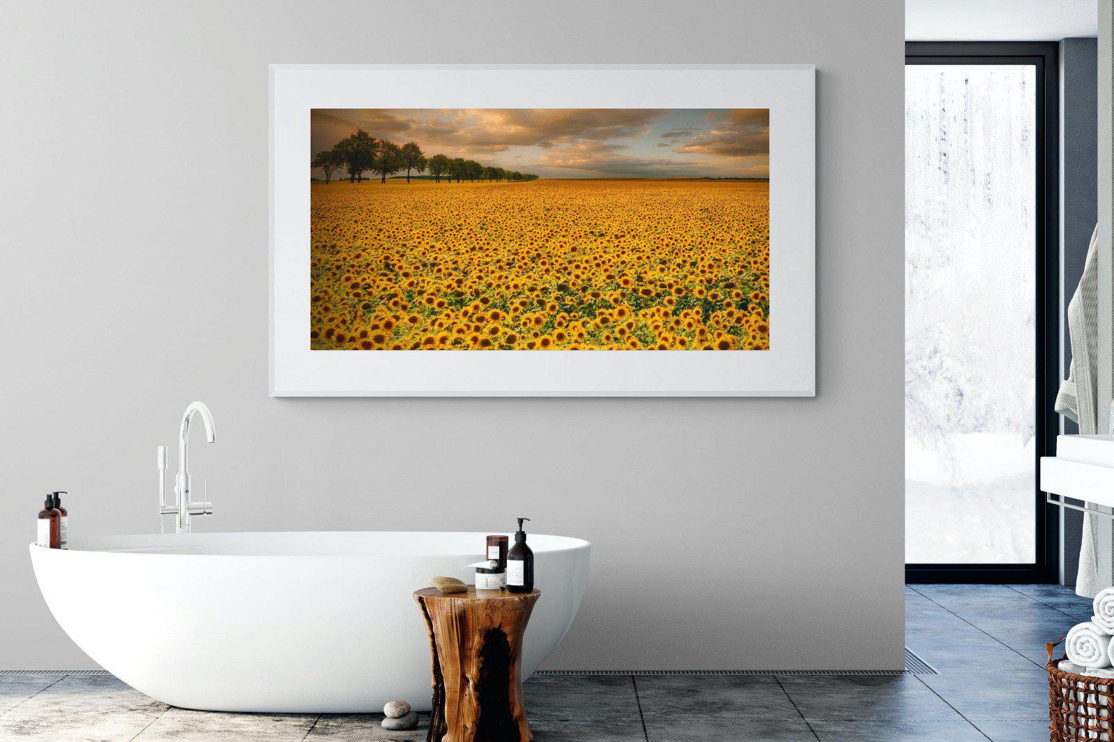 Sunflower Field-Wall_Art-180 x 110cm-Framed Print-White-Pixalot