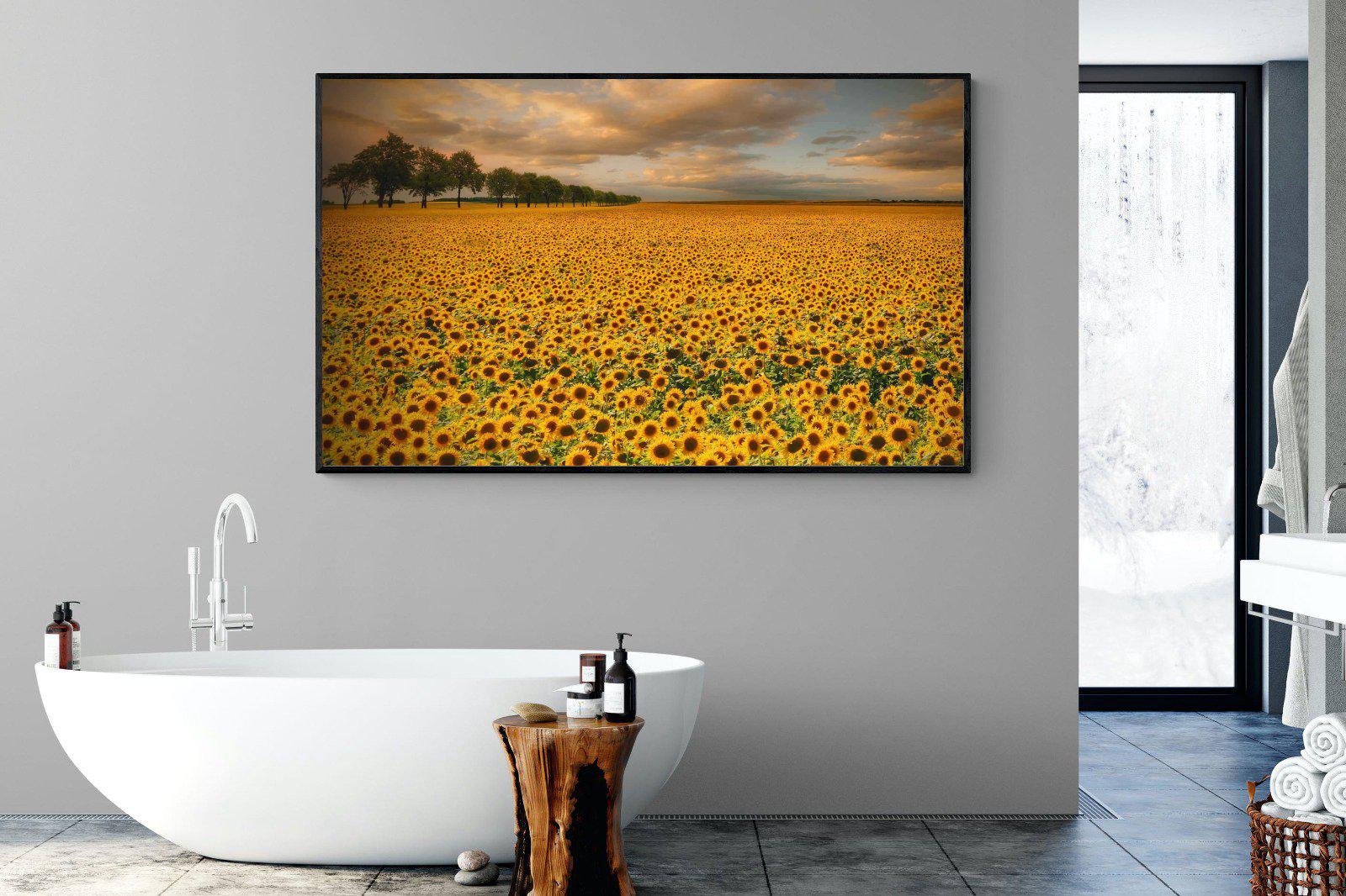Sunflower Field-Wall_Art-180 x 110cm-Mounted Canvas-Black-Pixalot