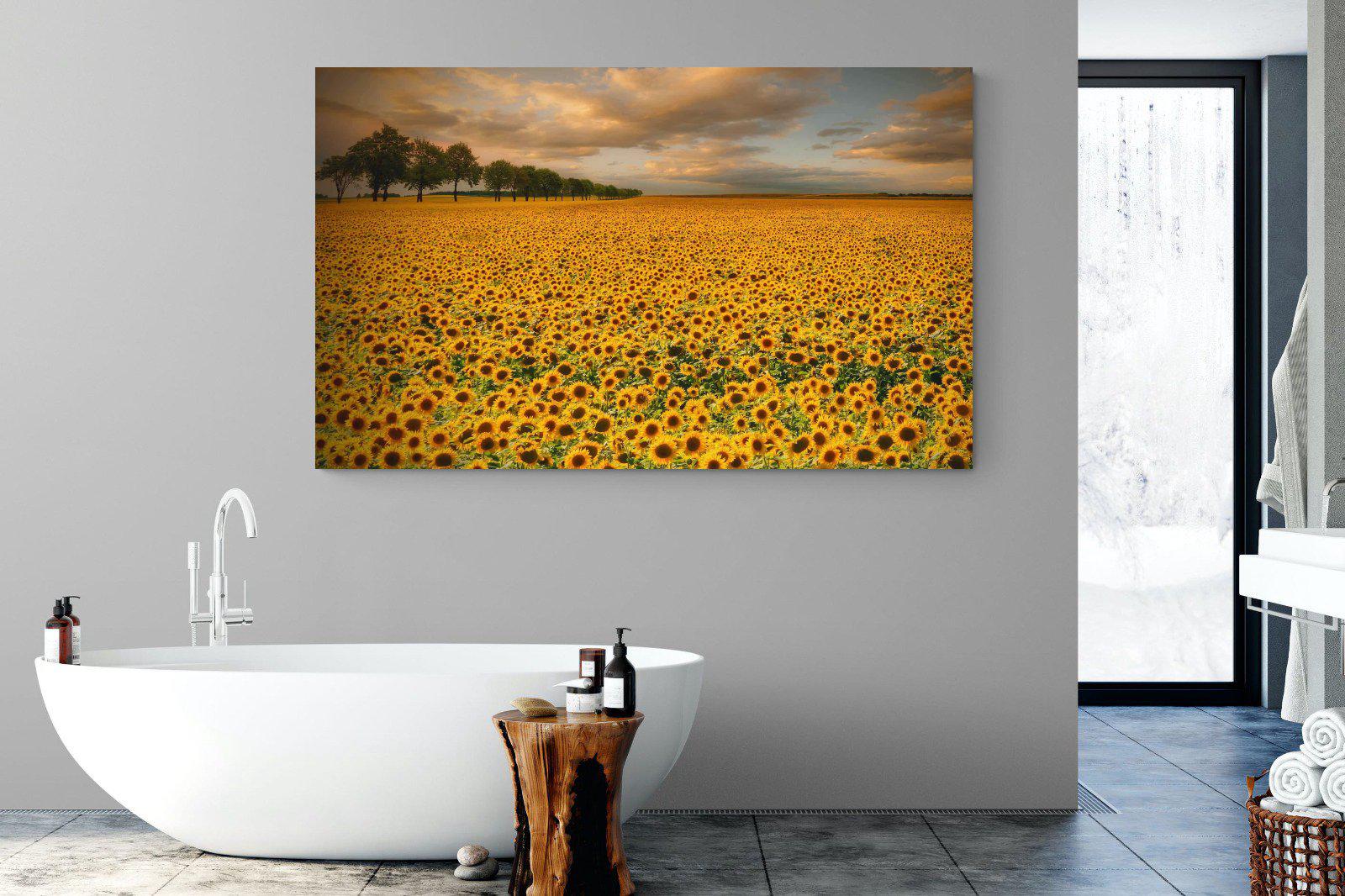 Sunflower Field-Wall_Art-180 x 110cm-Mounted Canvas-No Frame-Pixalot