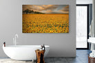 Sunflower Field-Wall_Art-180 x 110cm-Mounted Canvas-No Frame-Pixalot