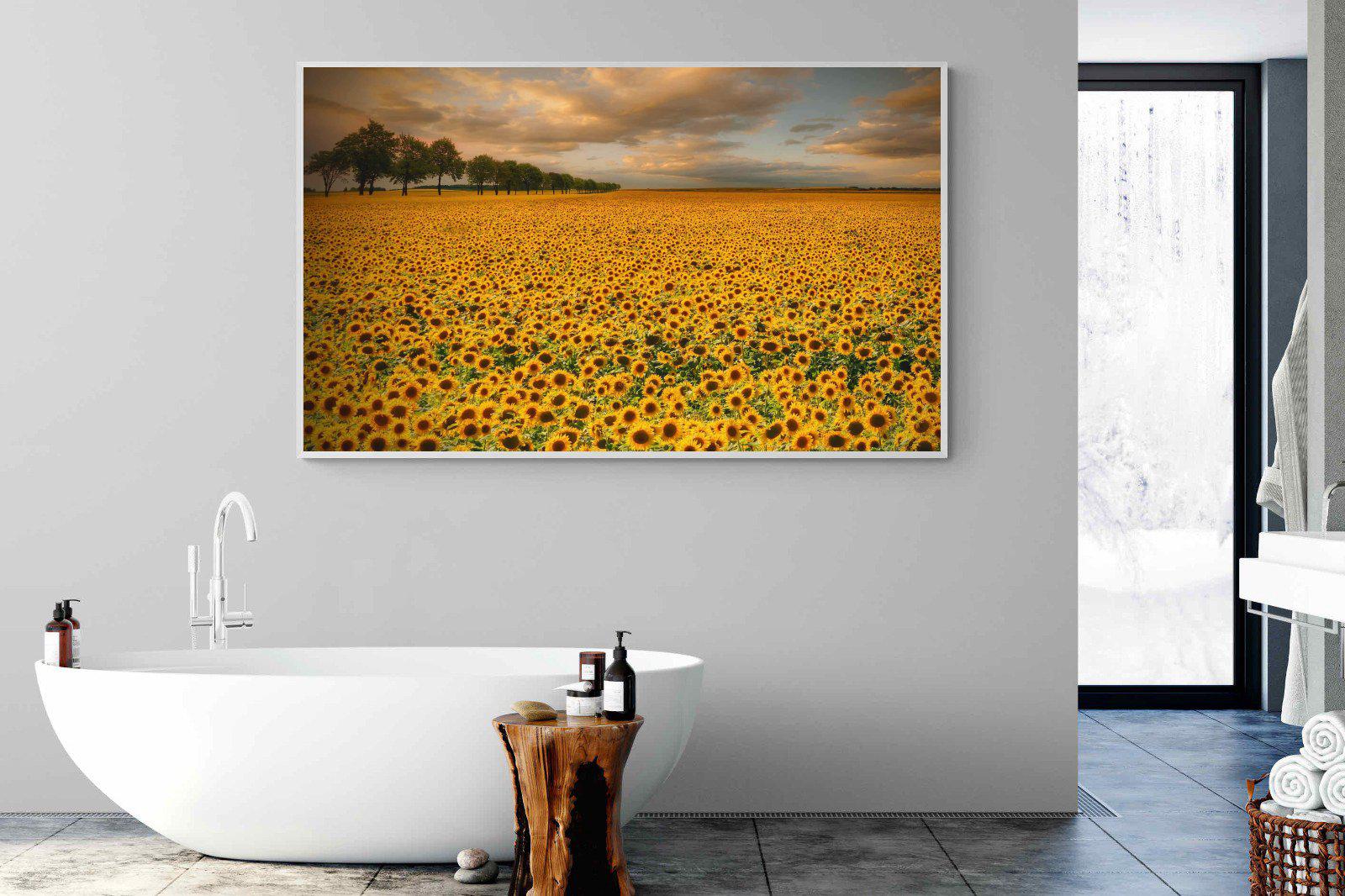 Sunflower Field-Wall_Art-180 x 110cm-Mounted Canvas-White-Pixalot