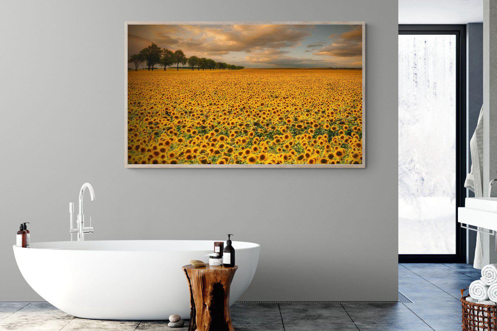 Sunflower Field-Wall_Art-180 x 110cm-Mounted Canvas-Wood-Pixalot