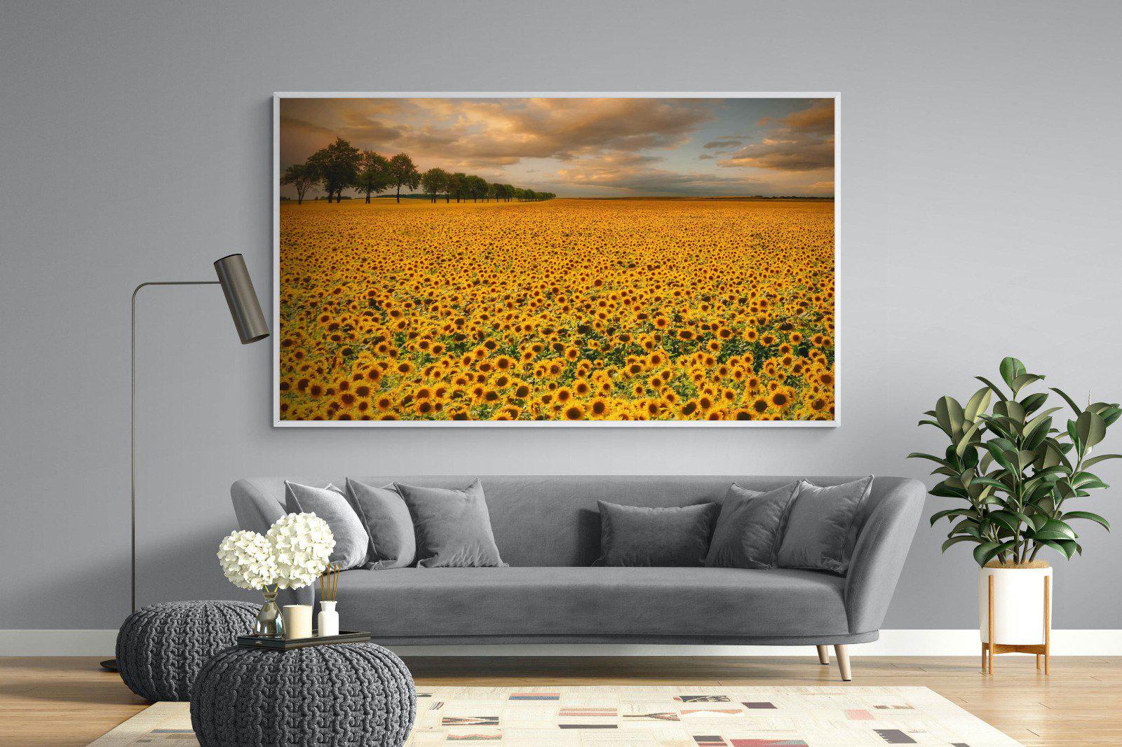 Sunflower Field-Wall_Art-220 x 130cm-Mounted Canvas-White-Pixalot