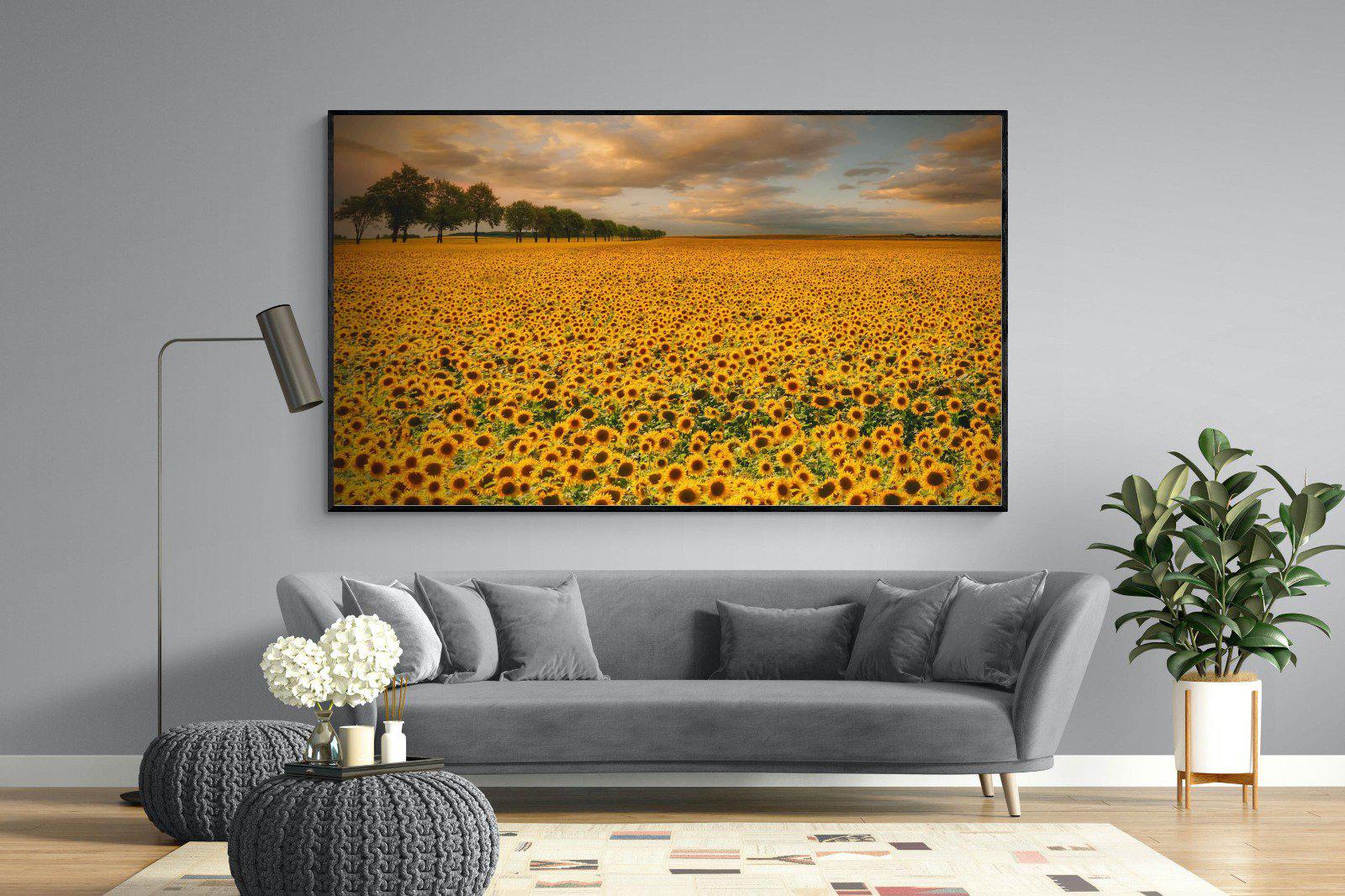 Sunflower Field-Wall_Art-220 x 130cm-Mounted Canvas-Black-Pixalot