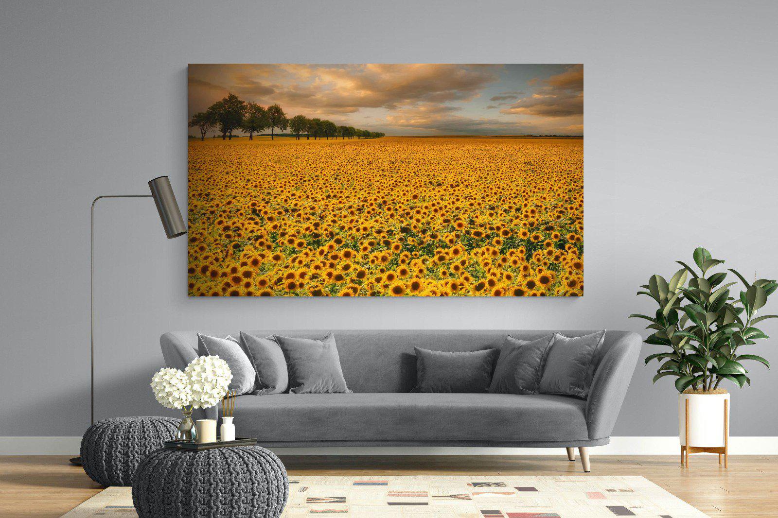 Sunflower Field-Wall_Art-220 x 130cm-Mounted Canvas-No Frame-Pixalot