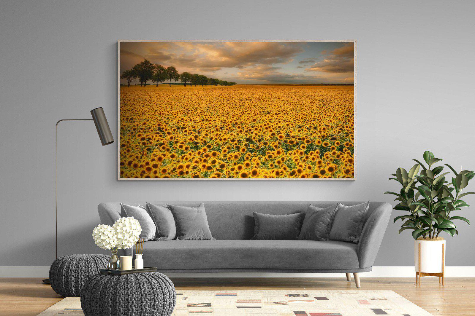 Sunflower Field-Wall_Art-220 x 130cm-Mounted Canvas-Wood-Pixalot
