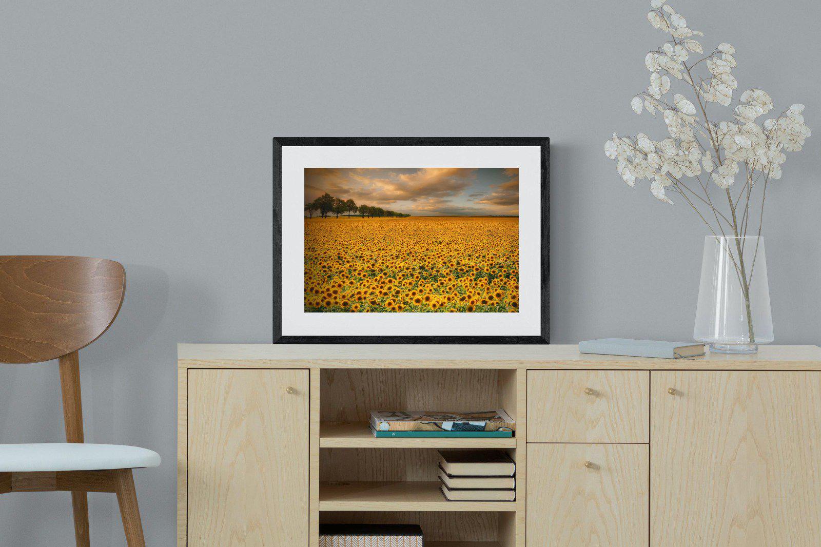 Sunflower Field-Wall_Art-60 x 45cm-Framed Print-Black-Pixalot