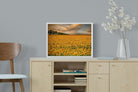 Sunflower Field-Wall_Art-60 x 45cm-Mounted Canvas-White-Pixalot